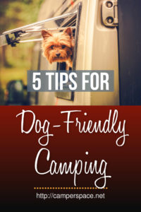 5 Top Tips On Dog Friendly Camping – CamperSpace