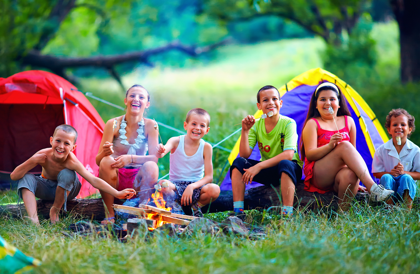 Summer Camping Essential Safety Tips – CamperSpace